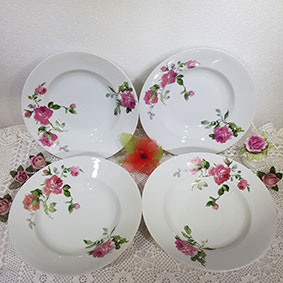 plate_set