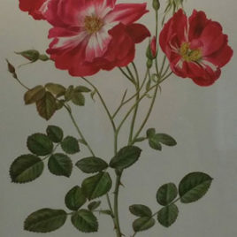 flower_painting