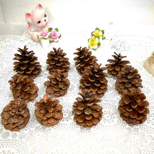 pine_cones