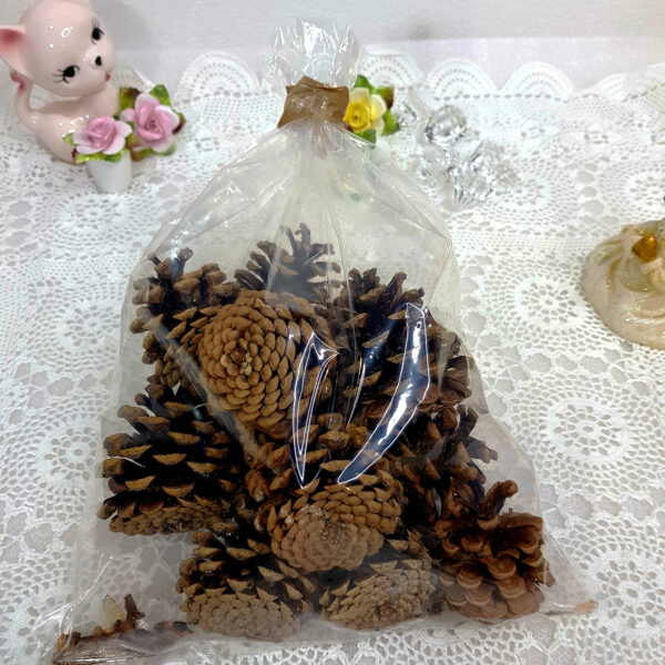 pine_cones