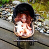 dolls_pram