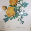 flower_painting