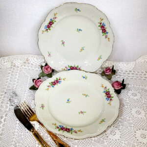 plate_set