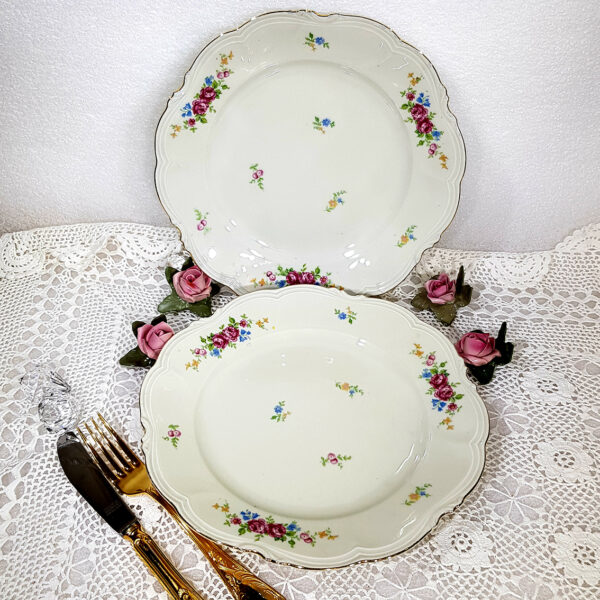 plate_set